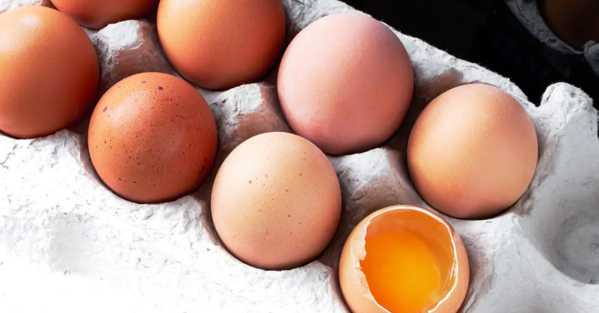 eggs-dioxins