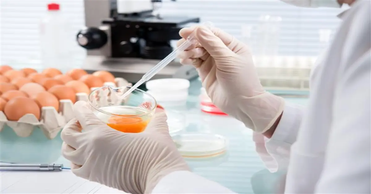 news-demand-for-pfas-egg-testing
