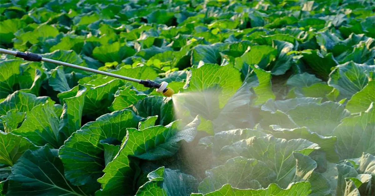 news-horticulture-banner